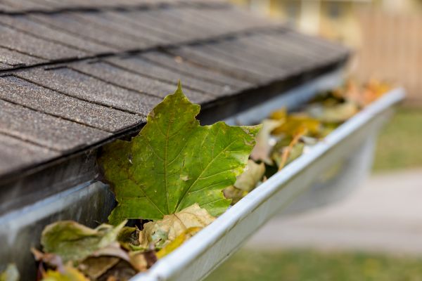 Commercial Downspout Cleaning in Prior Lake