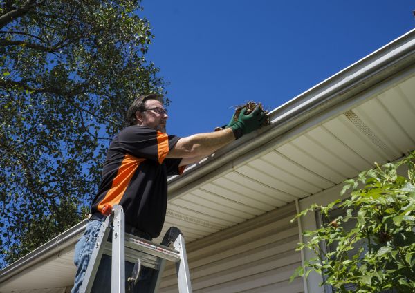 Cost of Eavestrough Clearing in Prior Lake