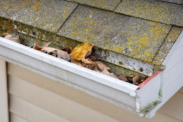 Cost of Garage Gutter Cleaning in Prior Lake