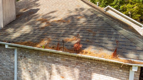 Cost of Gutter Pine Needle Removal in Prior Lake