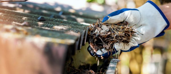 Pine Needle Gutter Cleaning in Prior Lake