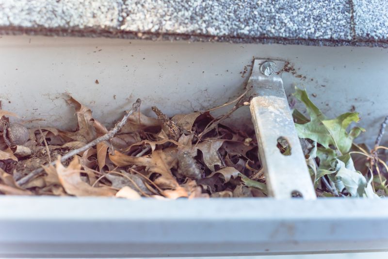 Gutter Debris Removal