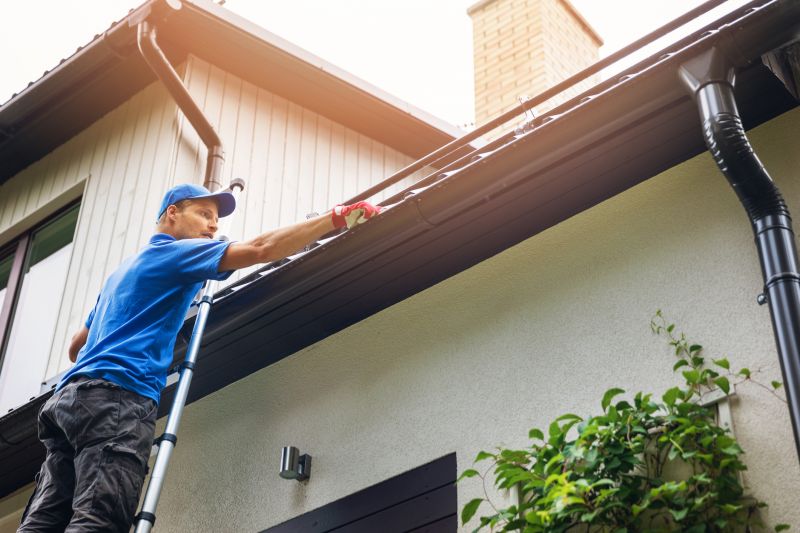 Gutter Maintenance Work