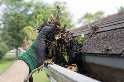 Gutter Maintenance Tips